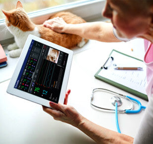 Emerging Health Technologies Repurposed for Pet Care