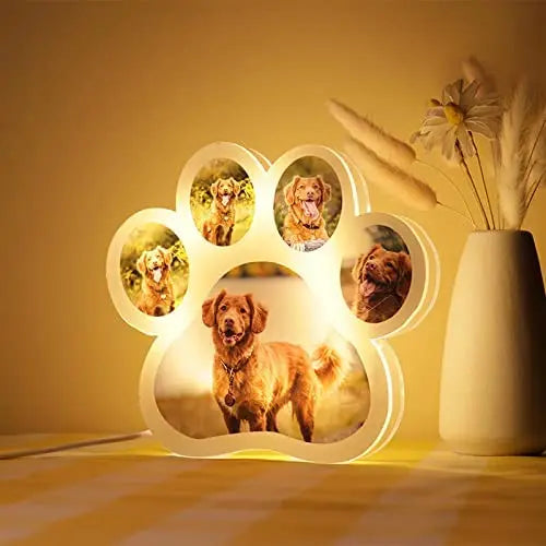 Personalized Pet Photo LED Night Lamp