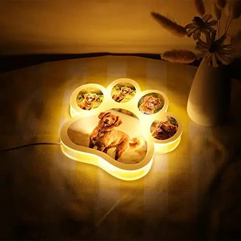 Personalized Pet Photo LED Night Lamp