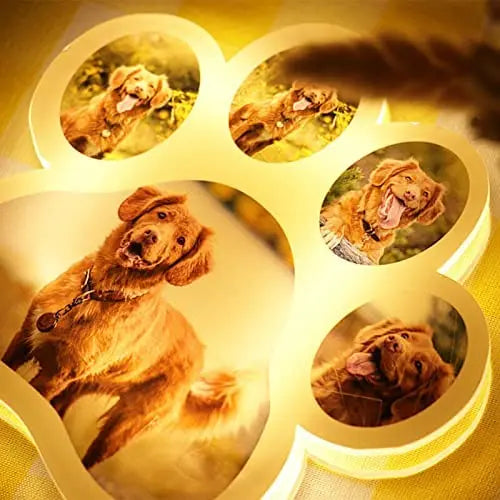 Personalized Pet Photo LED Night Lamp