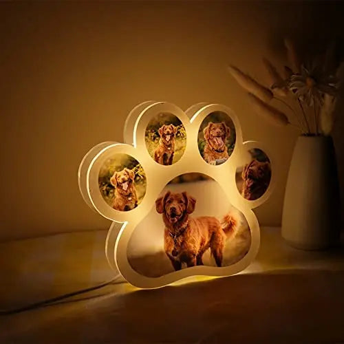 Personalized Pet Photo LED Night Lamp