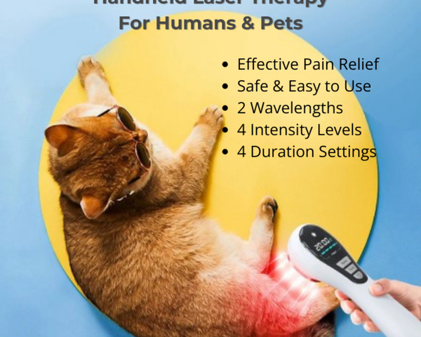 Image demonstrates the safe use of the innovative handheld laser therapy device on pets for inflammation reduction, recovery support, and wound healing, suitable for both human and pet care. The device shows 2 wavelengths, 4 intensity levels and 4 duration settings