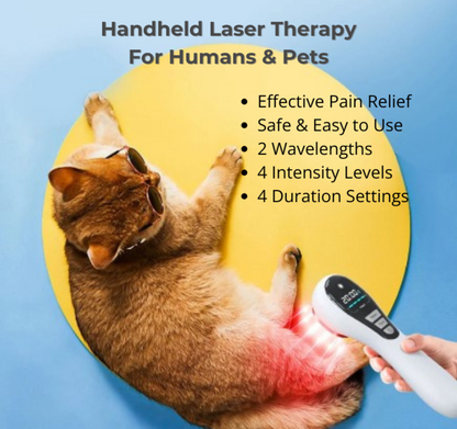 Image demonstrates the safe use of the innovative handheld laser therapy device on pets for inflammation reduction, recovery support, and wound healing, suitable for both human and pet care. The device shows 2 wavelengths, 4 intensity levels and 4 duration settings