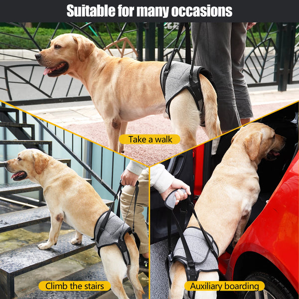 Dog Lift Harness for Rear Leg Support - Adjustable & Soft Padded for Disabled & Injured