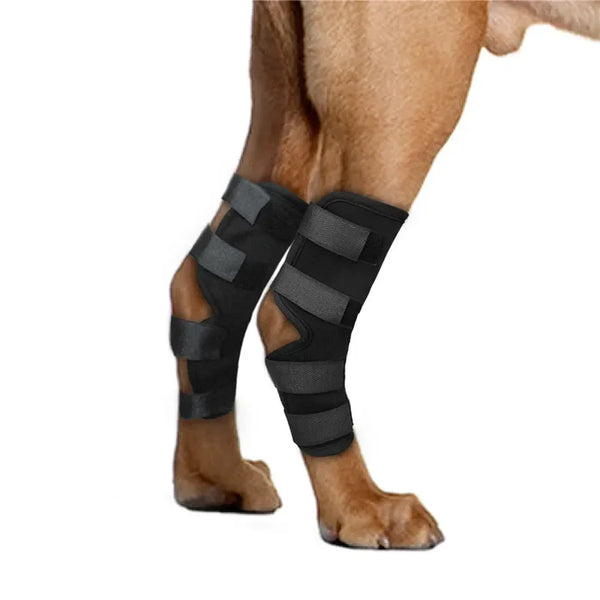 Pet Joint Joint & Knee Support - Injury Recovery Protector Bandage