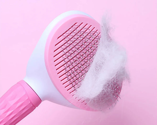 Grooming and Hair Remover Beauty Brush