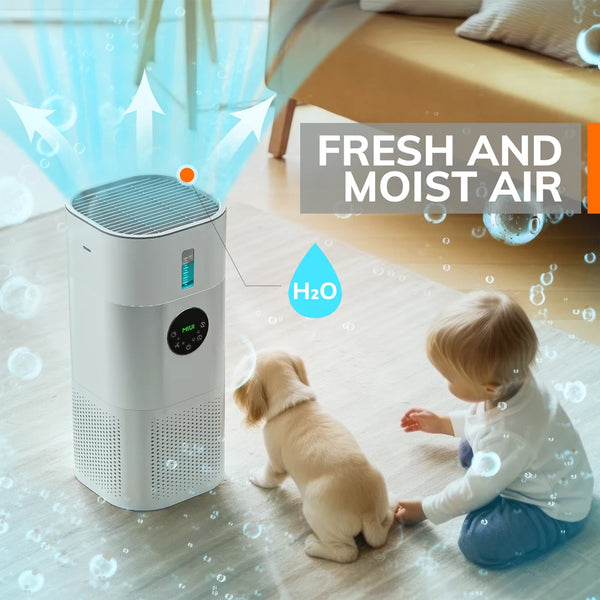 Air Purifier with Humidifier To Eliminate Allergens At Home