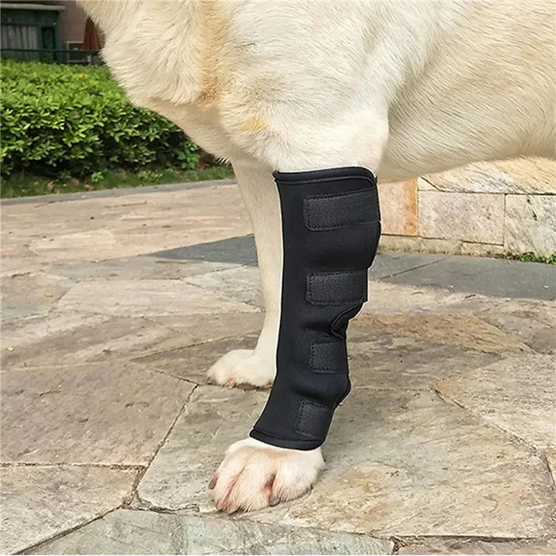 Pet Joint Joint & Knee Support - Injury Recovery Protector Bandage