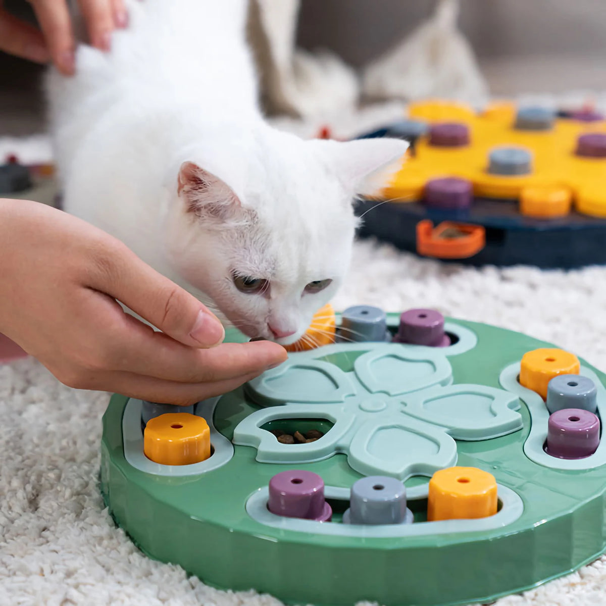 Puzzle Toys Slow Feeder Interactive Increase Puppy IQ Food Dispenser Training Game