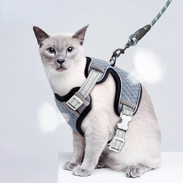 Harness and Leash for Cats - Adjustable and Reflective