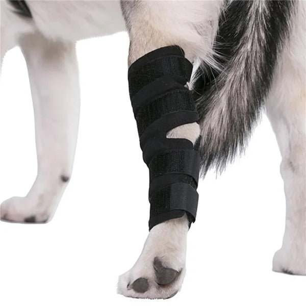 Pet Joint Joint & Knee Support - Injury Recovery Protector Bandage