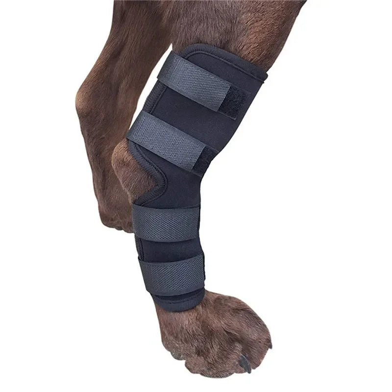 Pet Joint Joint & Knee Support - Injury Recovery Protector Bandage