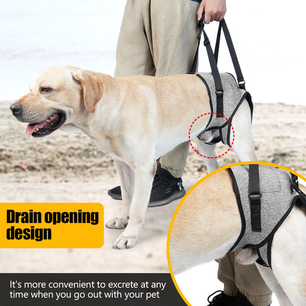 Dog Lift Harness for Rear Leg Support - Adjustable & Soft Padded for Disabled & Injured