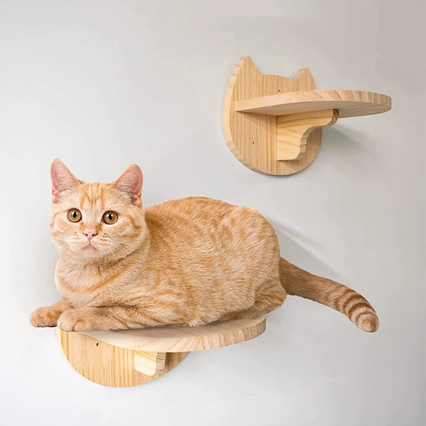 Wall Mounted Playgrounds for Cats - fun platforms to climb, jump, hide and sleep.