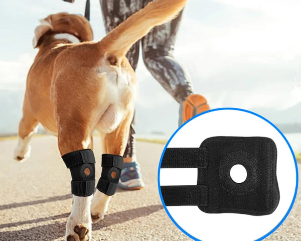 Protector Bandage Knee & Joint Support - Injury Recovery Brace