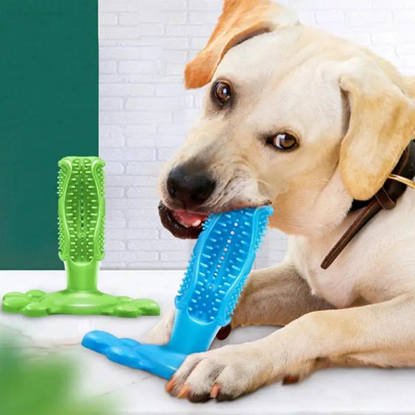 Puppy Toothbrush Chew Toy Massaging And Grinding Teeth Toothbrush Pet Products