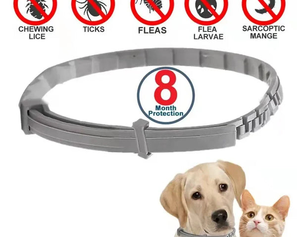 Anti Flea And Tick Adjustable Collars Up to 8 Month Protection