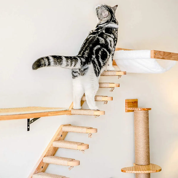 Wall Mounted Playgrounds for Cats - fun platforms to climb, jump, hide and sleep.