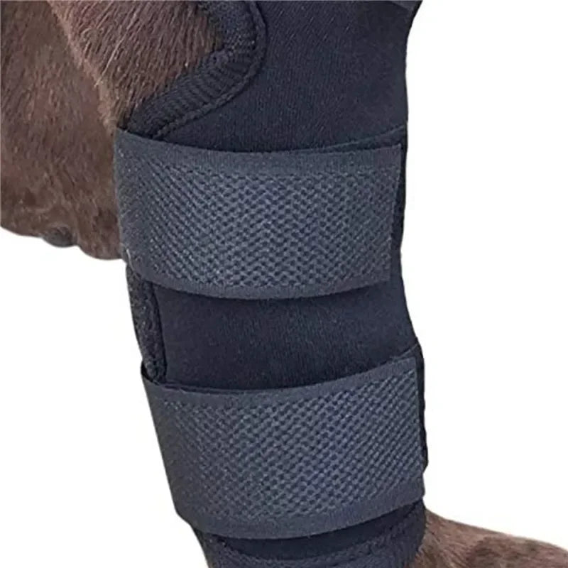 Pet Joint Joint & Knee Support - Injury Recovery Protector Bandage