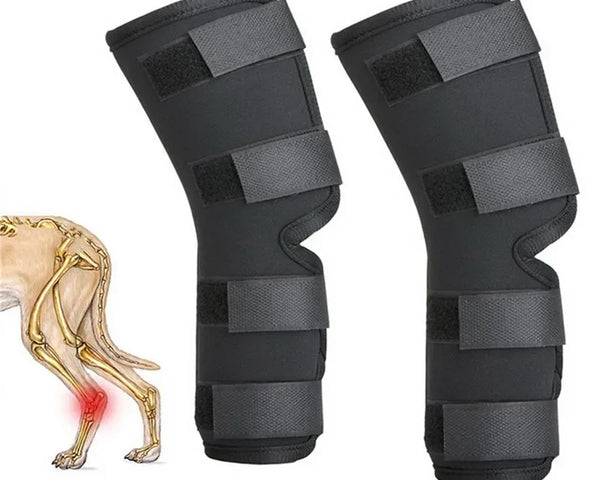 Pet Joint Joint & Knee Support - Injury Recovery Protector Bandage