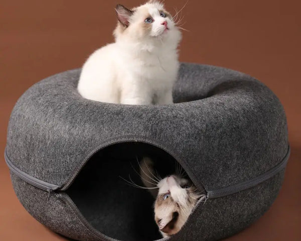 Donut Bed and Resting Hideaway for Cats & Small Dogs