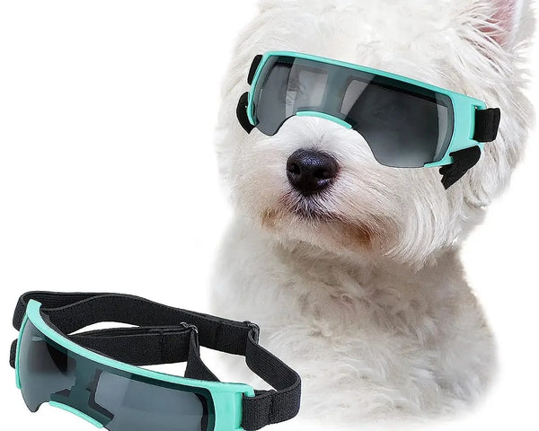 Sunglasses Small Breed, Dog Goggles Windproof Anti-UV Glasses for Outdoor Eye Protection