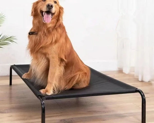 Elevated Pet Bed Breathable Mesh - Washable & Detachable, for Indoor & Outdoor