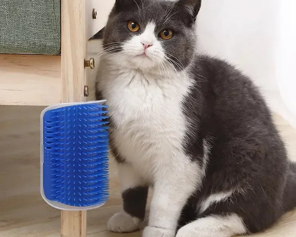 Corner Brush Self Combing, Scratching & Massaging Tool for Pets