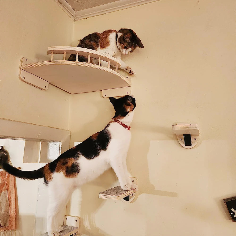 Wall Mounted Playgrounds for Cats - fun platforms to climb, jump, hide and sleep.