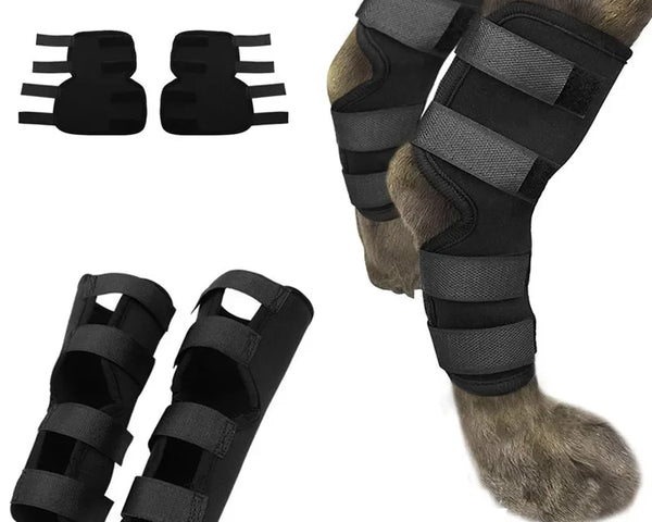 Pet Joint Joint & Knee Support - Injury Recovery Protector Bandage