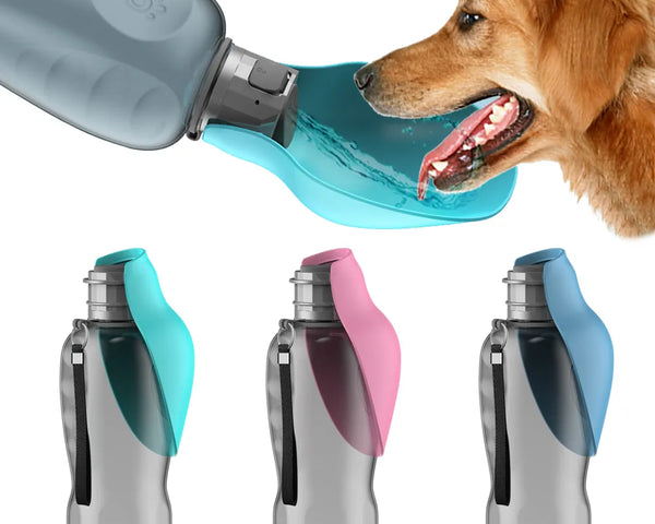 800ml Lightweight & Foldable Water Bottle For Pet Outdoor