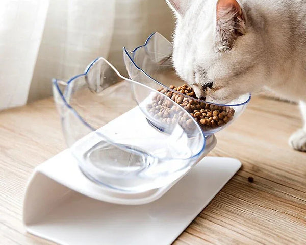 Elegant & Elevated Cat Feeding Station