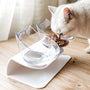 Elegant & Elevated Cat Feeding Station